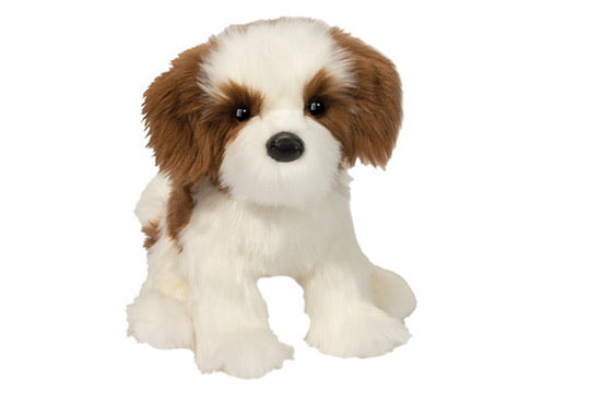 Farren Shih Tzu