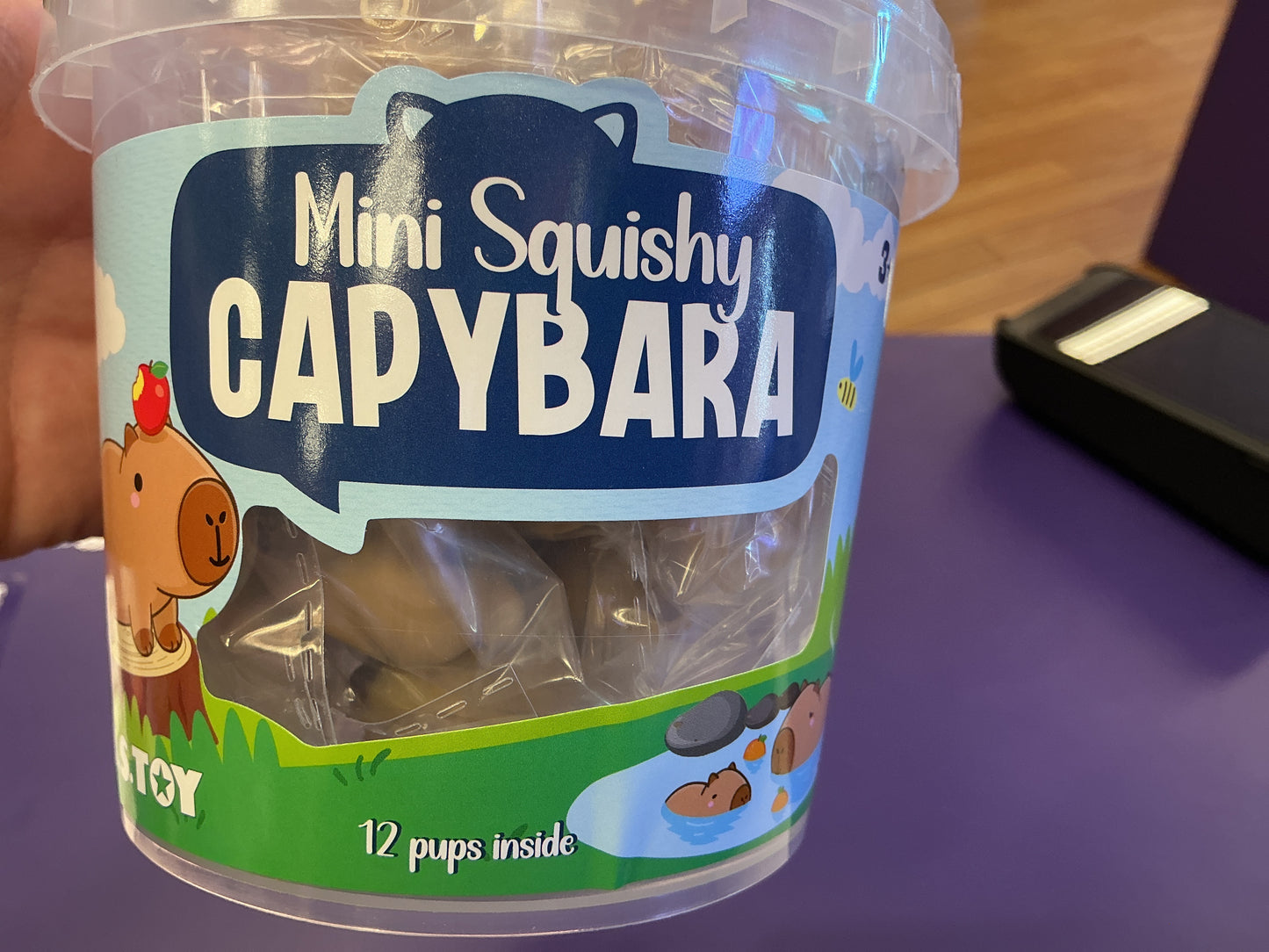 Mini Squishy Capybara Tub