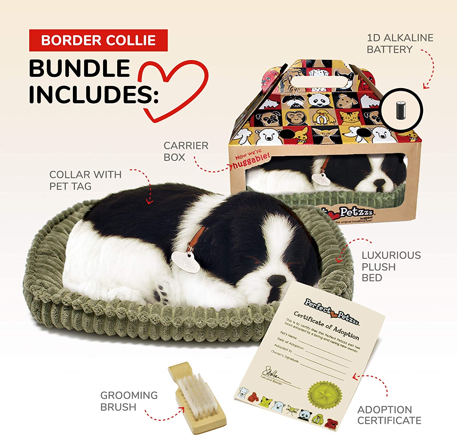 Border Collie