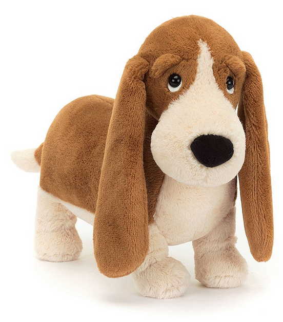 Randall Basset Hound