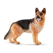 German Shepherd Dog Schl