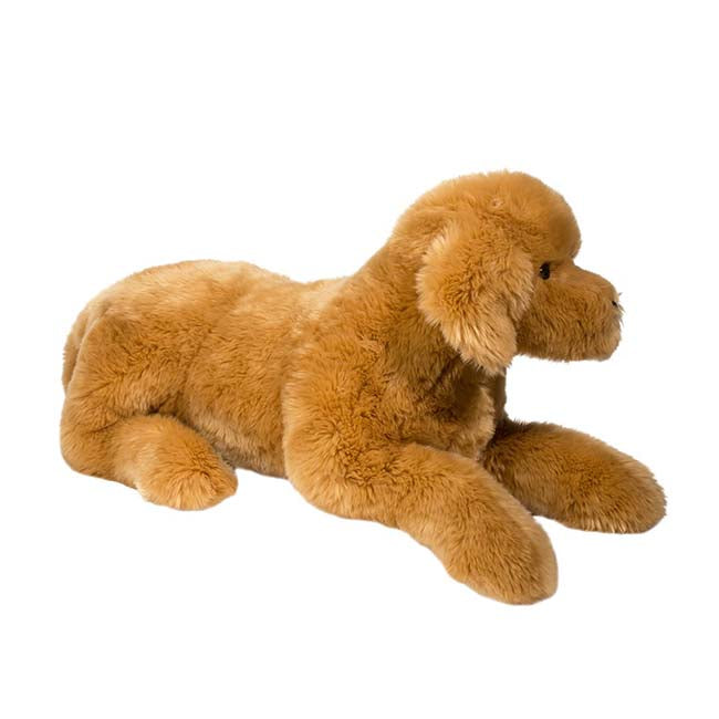 Sherman Golden Retriever Medium