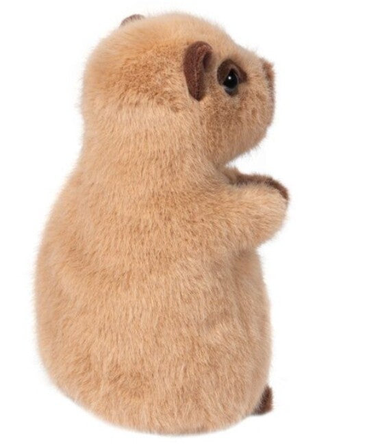 Chattie Capybara Mini Sft