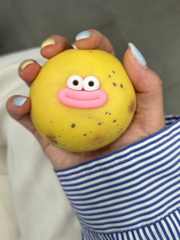Potato Mochi Squishy