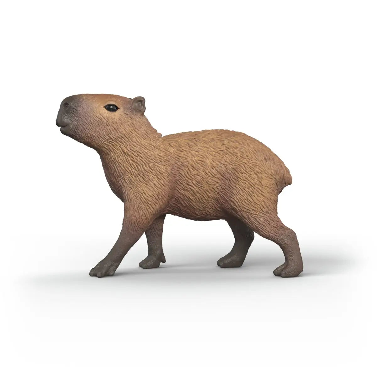 Capybara