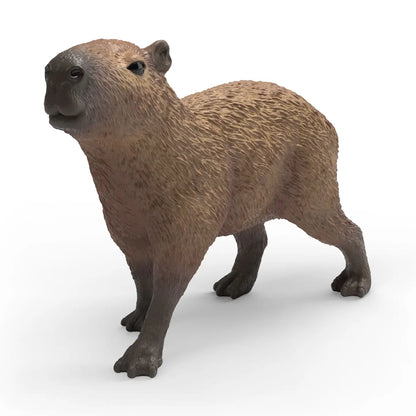 Capybara