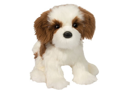 Farren Shih Tzu