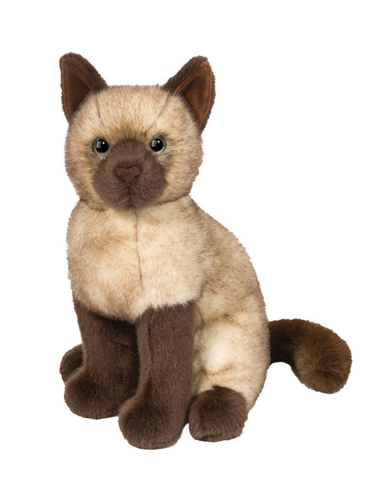 Chai Siamese Cat