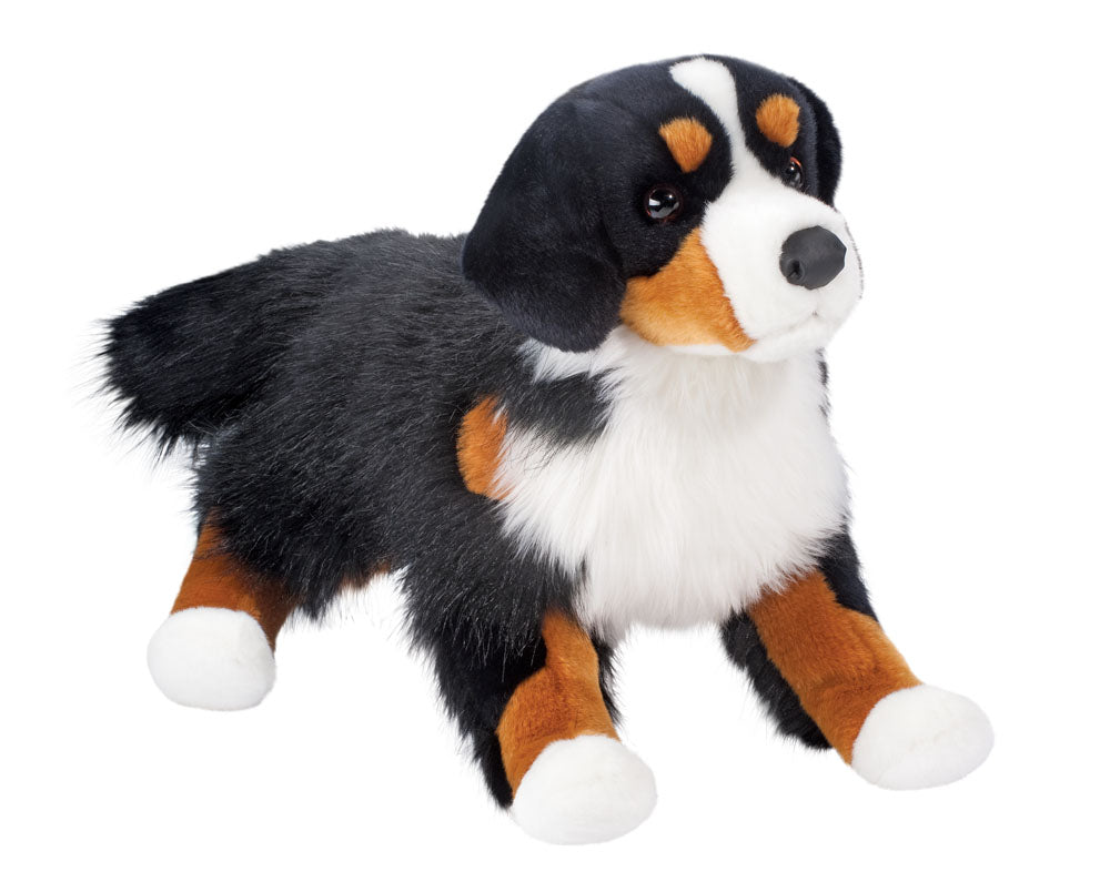 Alps Bernese Mountain Dog, Floppy