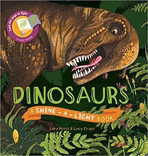 Shine a Light Dinosaurs Book
