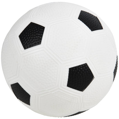 Sports Balls Set