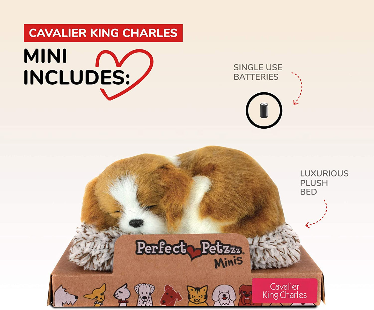 Perfect Petzzz Mini Cavalier King Charles