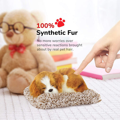 Perfect Petzzz Mini Cavalier King Charles