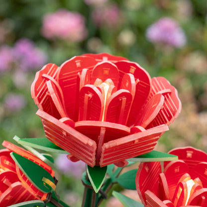 DIY Flower light Kit: Red Rose
