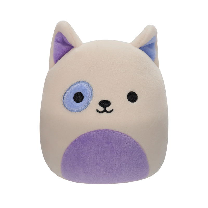 Taghi 8 Wht Bl Terrier