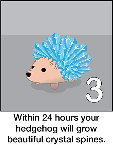 Crystal Hedgehog