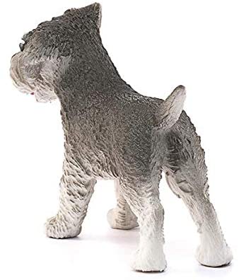 Dog Miniature Schnauzer