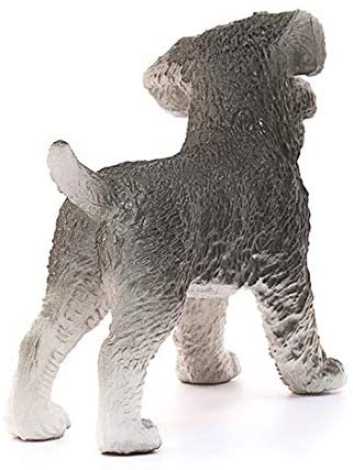 Dog Miniature Schnauzer