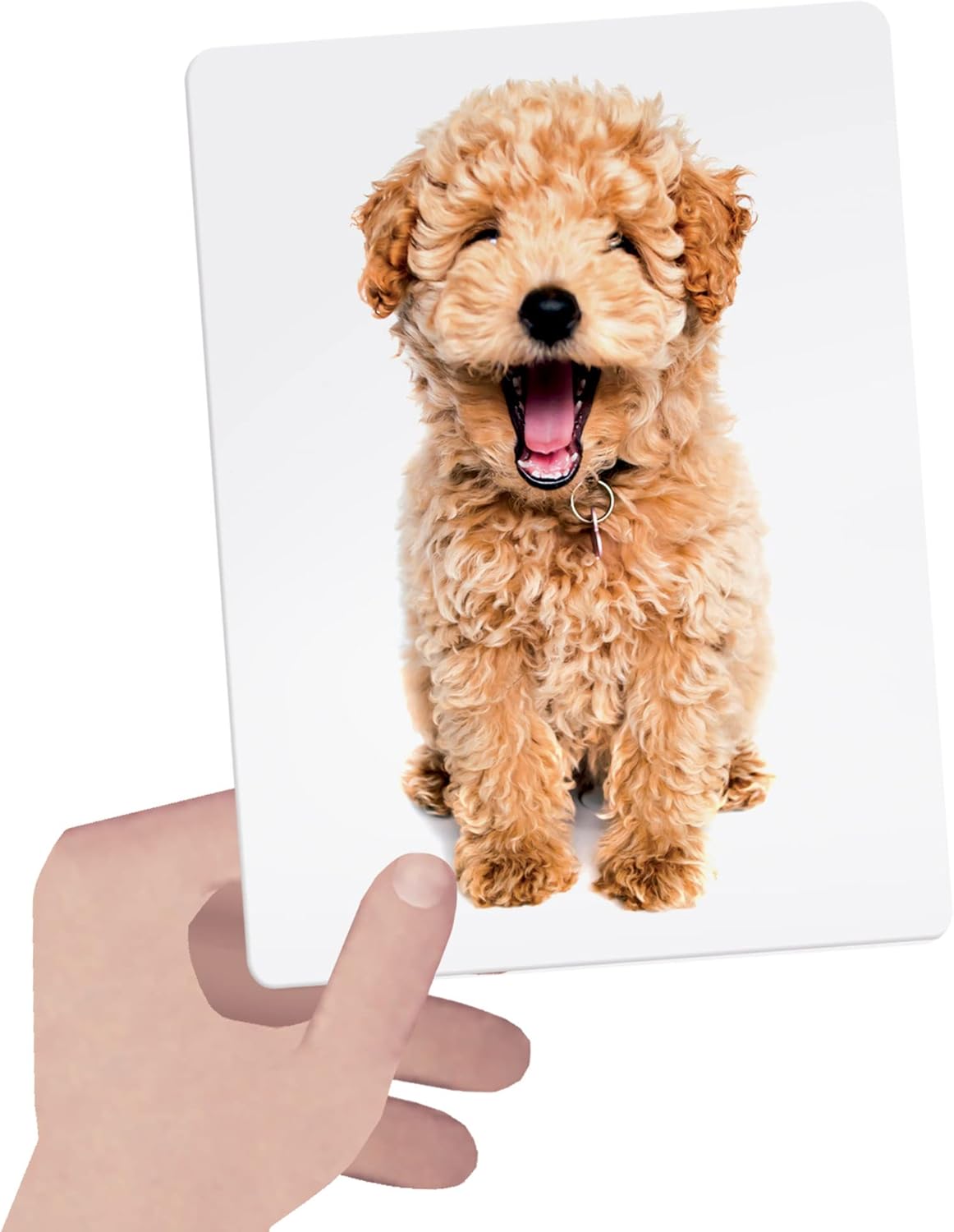 Montessori Tactile Flashcards