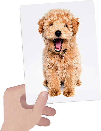 Montessori Tactile Flashcards