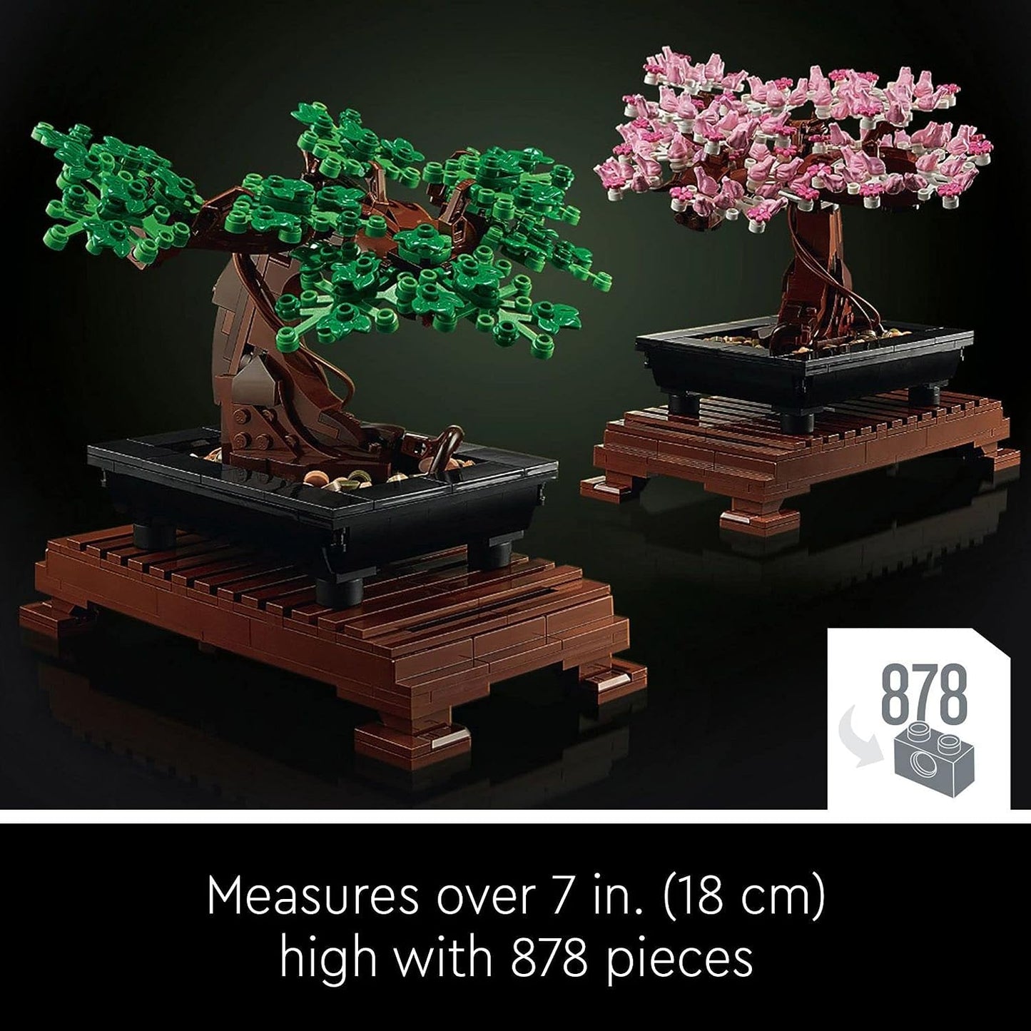 Bonsai Tree