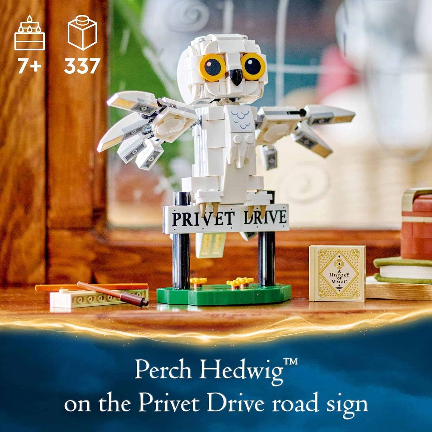 Hedwig at 4 Privet Drive