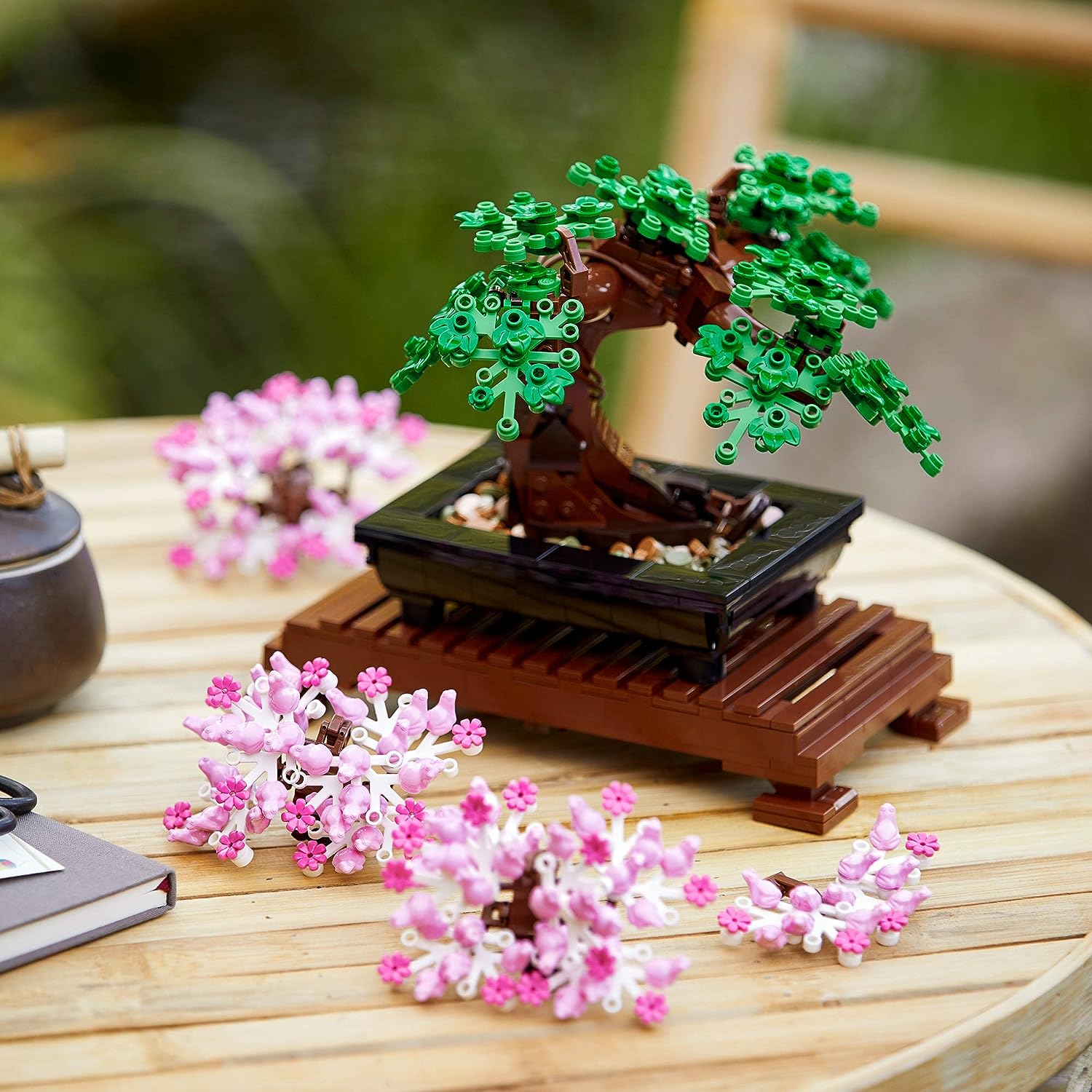 Bonsai Tree