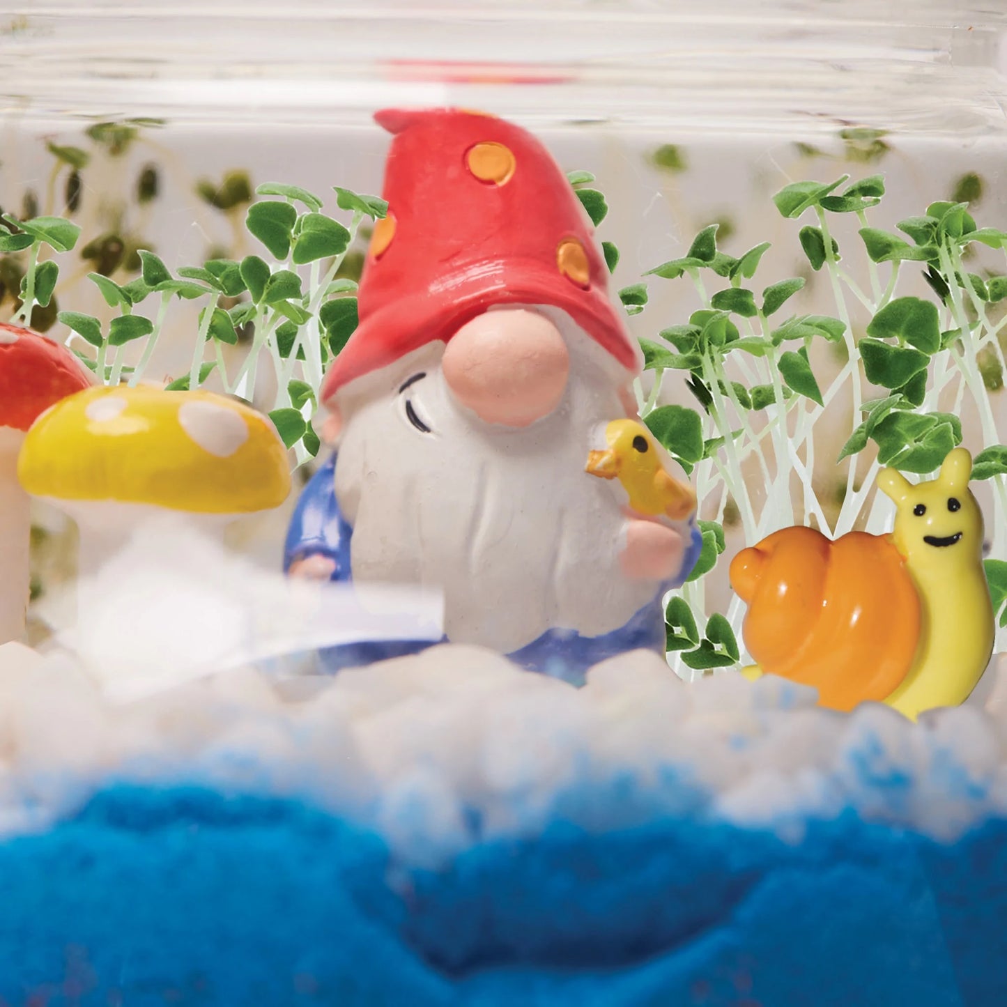 Plant Woodland Forest