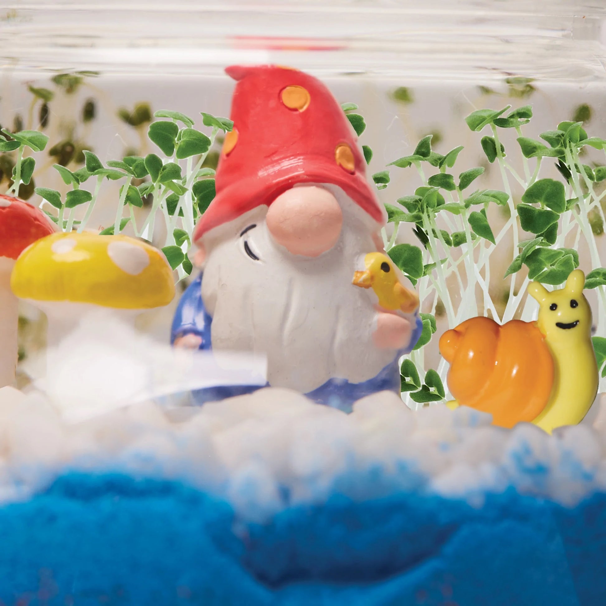 Plant Woodland Forest