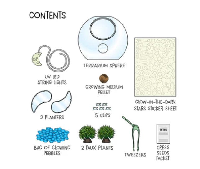 Ww Light-Up Terrarium