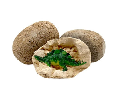 Ww Dino Dig N Diorama