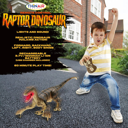 Rc Raptor Dinosaur