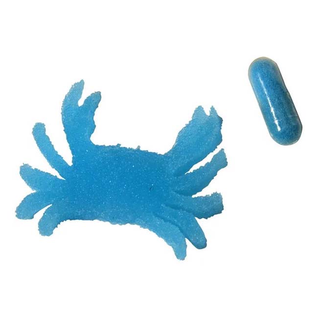 Magic Sea Animl Capsule